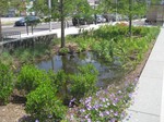 Evaluating Multiple Benefits of Urban Rainwater Catchment Systems in Austin, Texas