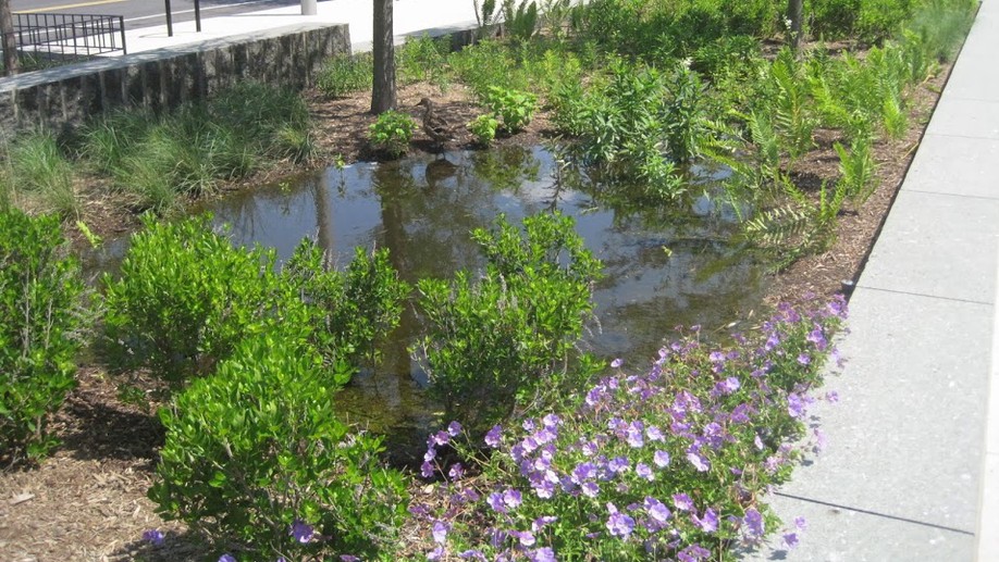 Evaluating Multiple Benefits of Urban Rainwater Catchment Systems in Austin, Texas