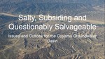 Salty, Subsiding and Questionably Salvageable, Issues and Outlook for the Cuyama Groundwater Basin